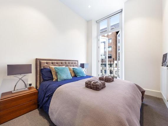 Harley Street Luxury Snug Apartamento Londres Exterior foto